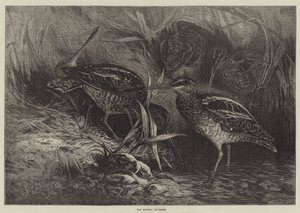 The Months, November by George Bouverie Goddard